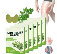 Wellnee Knee Pain Relief